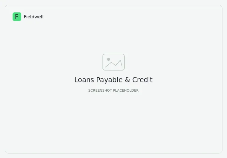 Loans Payable & Credit screenshot placeholder